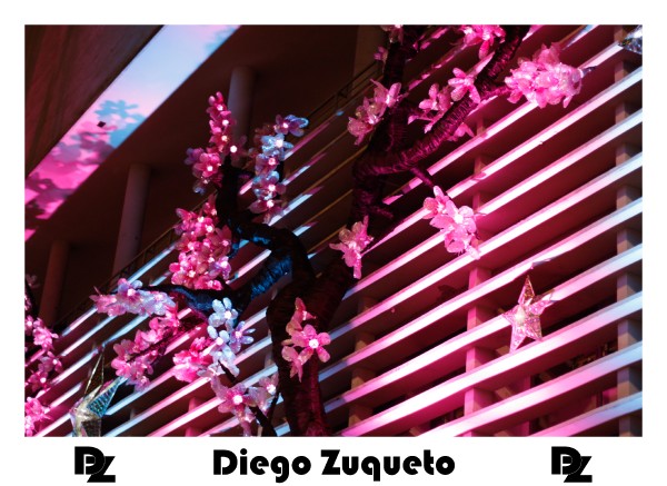 luzes-de-natal-2014_22121276434_o.jpg