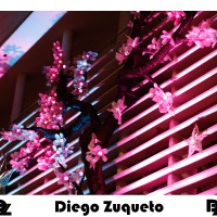 luzes-de-natal-2014_22121276434_o