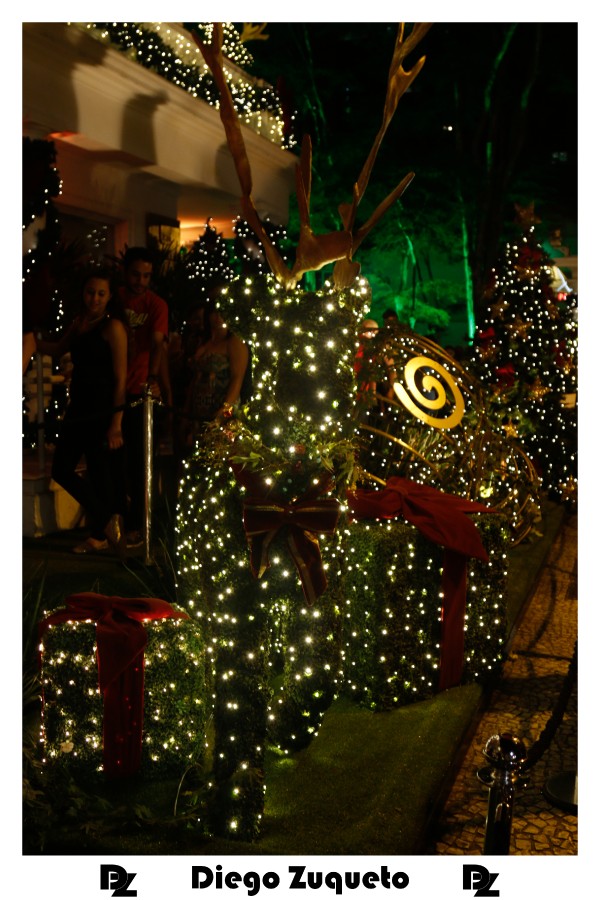 luzes-de-natal-2014_22556106760_o.jpg