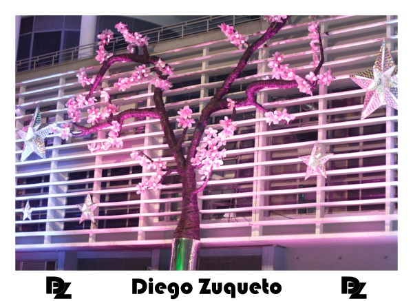 luzes-de-natal-2014_22744039335_o.jpg