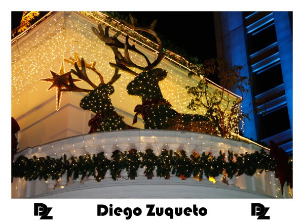 luzes-de-natal-2014_22755228511_o.jpg