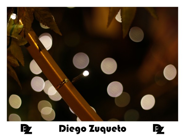 luzes-de-natal-2014_22755235951_o.jpg