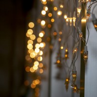 formaNUTRI-247-de-265